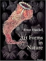 Art Forms in Nature: The Prints of Ernst Haeckel Art Forms in Nature: The Prints of Ernst Haeckel