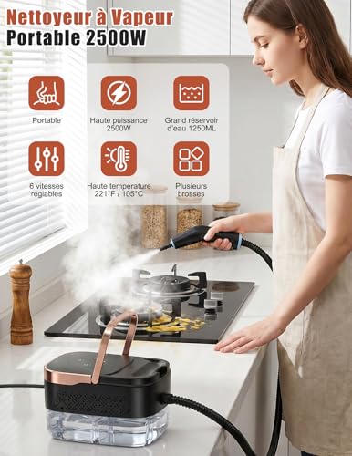 Steam Cleaner, 2500 W Multi-Purpose Manual Steam Cleaner with 6 Adjustable Speeds and 8 Types of Nozzles, 1250ML Portable High Pressure Steam Cleaner for Home and Car