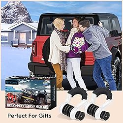 TICONN 2 Pack D Ring Shackle with 7/8" Screw Pin