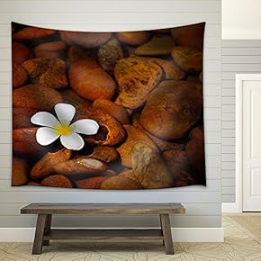 A Plumeria on Clear Lake. - Fabric Wall Tapestry Home Decor - 51x60 inches