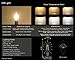 CRLight 2W LED Filament Candle Light Bulb, 2700K Warm White 200LM, E12 Candelabra Base Lamp, C35 Flame Shape Bent Tip, Clear Glass Cover, 20W Incandescent Replacement, Non-dimmable, 3 Pack