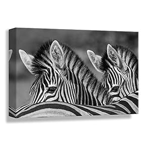 Monochrome Zebras - Canvas Art