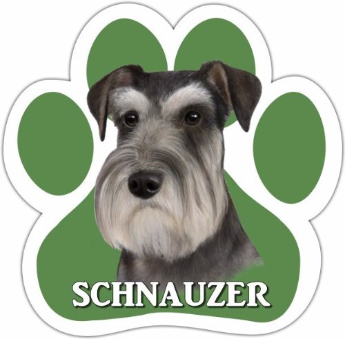 Schnauzer, Uncropped Car Magnet With Unique Paw Shaped Design Measures 5.2 by 5.2 Inches Covered In UV Gloss For Weather Protection - Thumbnail 2