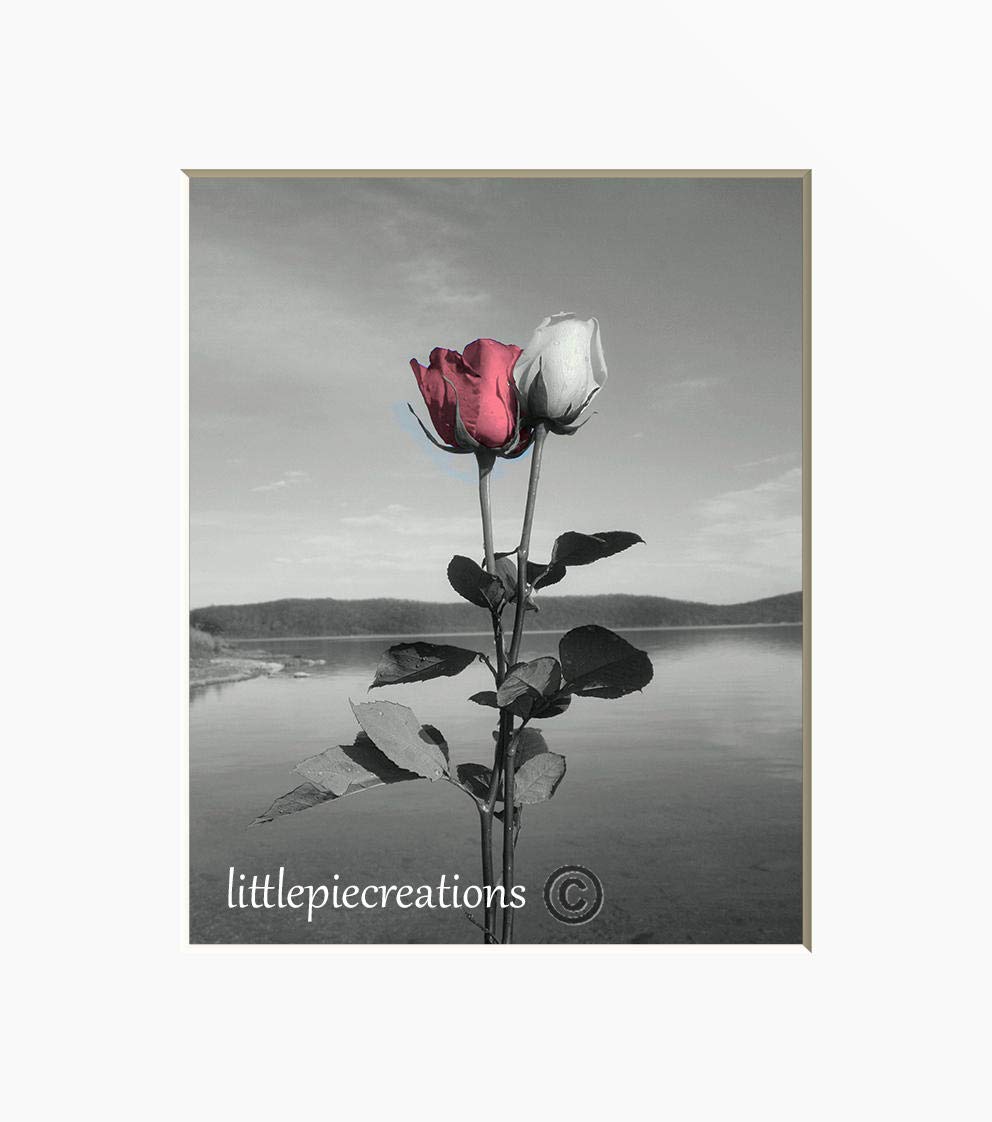 Amazon.com: Pink Gray Wall Art, Pink Rose Flower, Bedroom, Bathroom