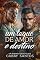 Livro Um Toque de Amor e Destino (As Quatro Estações do Amor Livro 1)
