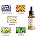 Dermaxgen 20% Vitamin C Serum + Hyaluronic Acid + Retinol + Vitamin E + Vitamin B PURE ORGANIC- Boost Skin Collagen, Moisturizer, Anti Aging & Wrinkle Facial Serum (1 FL OZ)