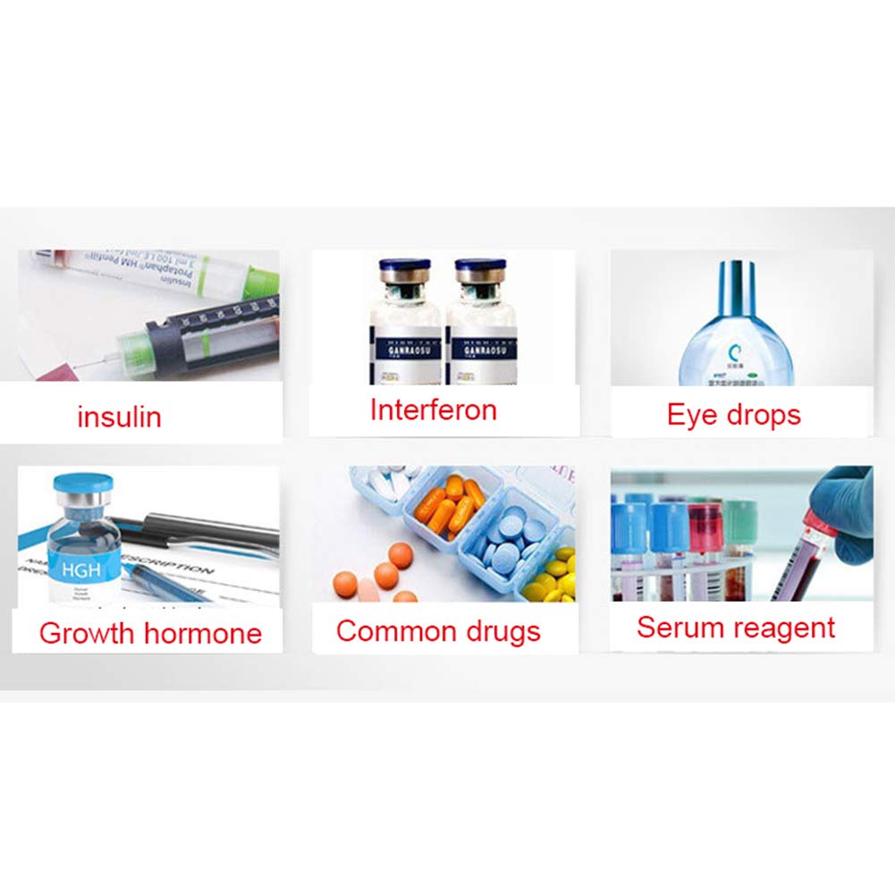 Caja Refrigerada PortáTil - Refrigerador PequeñO De Insulina ...