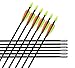 GPP 28-inches Fiberglass Archery Target Arrows - Practice Arrow or Youth Arrow for Recurve Bow