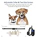 DIGOO Dog Training Collar, PPT1 Rechargeable and Waterproof 330yd Remote Dog Shock Collar with Beep, Vibration and Stimulation Electronic Collar, Fit Dogs (10Lbs-150Lbs) 3 Collar Paired
