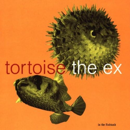 In the Fishtank - Split
