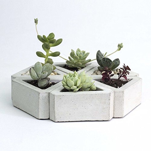 Nicole Flower Pot Silicone Mold Triangle Concrete Mould for Succulent Plants Handmade Home Decoration Tool