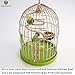 SunGrow Birds Nest for Finch, Canary, Pigeon, Parakeet, Encourages Courtship, Breeding, and Nesting