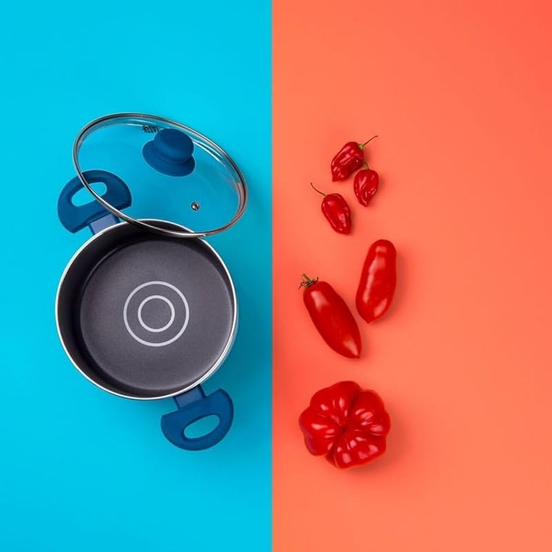 678539 Casserole 20 cm avec Couvercle, Antiadhésif Greblon®, Faitout Tous Feux Dont Induction, Four Jusque 130°C, Système Dosage d'Huile, Lave-Vaisselle, Aluminium Pressé, Verre, Gris, Bleu