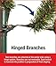 National Tree Company Pre-lit 'Feel Real' Artificial Full Downswept Christmas Tree, Green, Douglas Fir, Dual Color LED Lights, Includes Stand, 9 feet