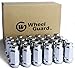 WheelGuard 1960L, Bulge Acorn Lug Nut, Thread 9/16-18, 1.72