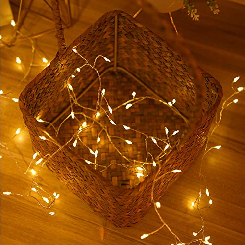 1M Led Catena Luminosa Luci Stringa String Lights Firefly Catena di Filo di Rame con 100 LEDs Impermeabile USB Natale per Esterni e Interni, Feste, Matrimonio, Casa, Luce Gialla Calda