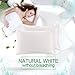 YANIBEST Vegan Silk Satin Pillowcase for Hair and Skin, Standard Queen King Pillow with Hidden Zipper, Soft Breathable Smooth Cooling Pillow for Sleeping