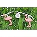 Innovative Technology BRT-100-WFF-20 Bright Tunes Decorative String Lights with Bluetooth Speakers Pink Flamingo LED Lights Black Cord