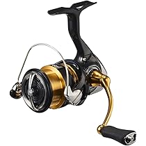 Daiwa LT2500S-XH Spinning Reel, 23 Legalis : Amazon.ca: Sports