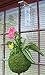 WINDOW GARDEN Veg Dangler Suction Cup Window Hanger – Bird Feeder Holder, Indoor Plant Hanger, Wind Chimes, Ornaments, Flower and Herb Pots, Terrarium, Air Plants, Hanger Holder(1 Pack)