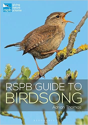 Rspb Guide To Birdsong Amazon Co Uk Thomas Adrian 9781472955876 Books