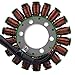 RMSTATOR Replacement for Generator Stator Kawasaki Ninja 250 R 250R 2008-2012 | OEM Repl.# 21003-0074/21003-0114
