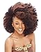 Janet Collection Noir 2X Afro Kinky Bulk 24inch 2 pack (#1B Off Black)
