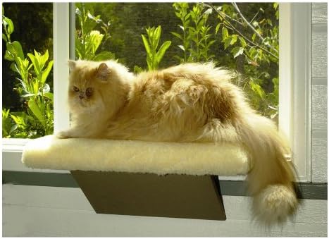 Casual Pet Products Kitty Window Perch
