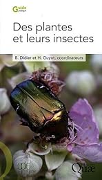 Des  plantes et leurs insectes