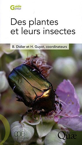 Des  plantes et leurs insectes