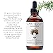 Laritelle Organic Loss Prevention for Men/Women, Prevents Shedding, Promotes New Healthy Hair Growth and Scalp Health, Rosemary/Lemongrass/Ginger/Cedarwood, 4 oz.
