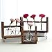 Ivolador Desktop Glass Planter Bulb Vase with Retro Solid Wooden Stand for Hydroponics Plants Home Garden Wedding Decor (3 Bulb Vase)thumb 2