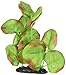 Marina Naturals, Green Moneywort Foreground Silk Plant, Small Fish Tank Decoration, PP115
