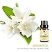 Jasmine Chamomile Essential Oil,10ML Natural Pure Aromatherapy Oils Therapeutic Grade, Value 2 Pack