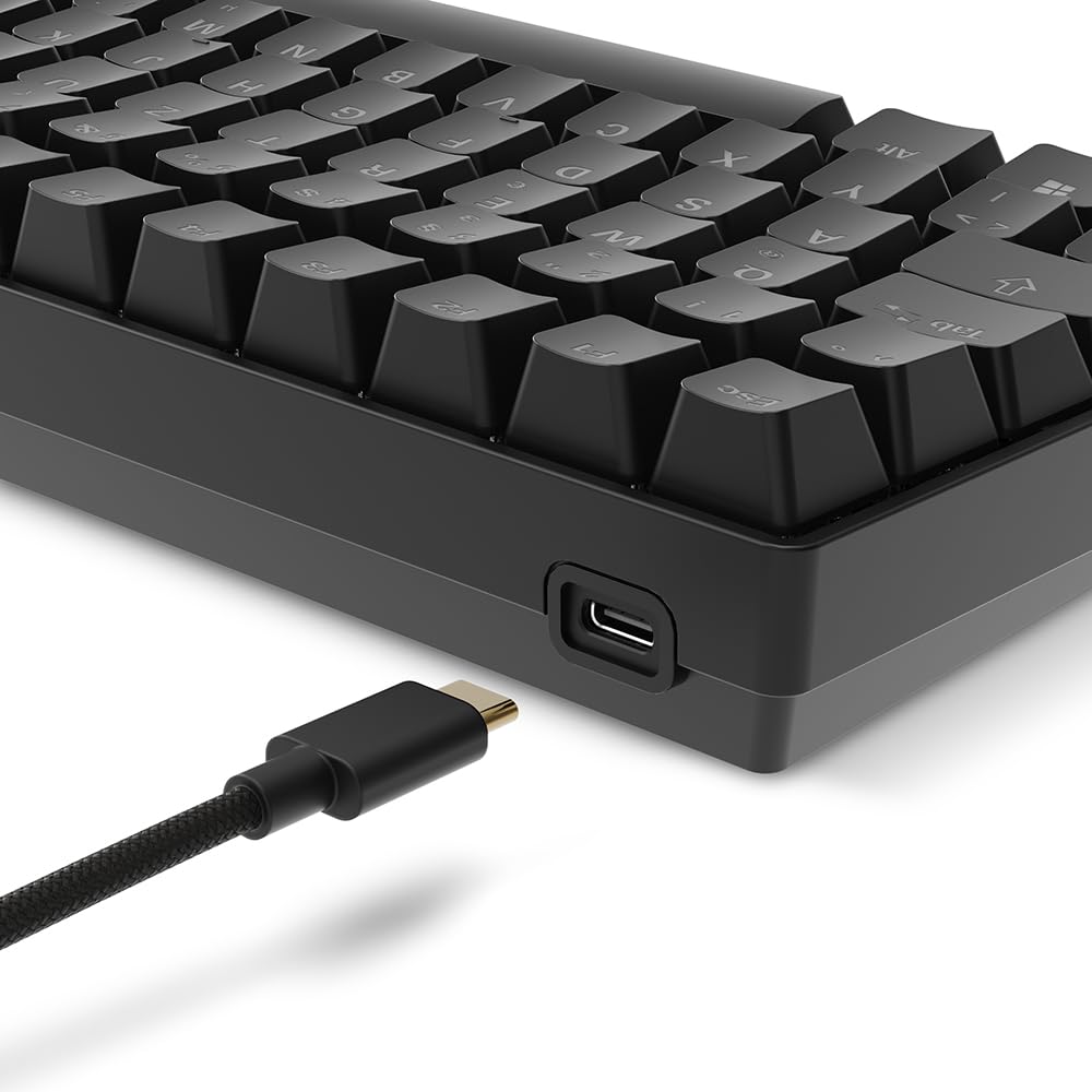 Sharkoon SGK50 S2 Schwarz, RGB, Gateron Rot 4