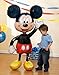 Anagram International Mickey Mouse Air Walker, Multi-Color