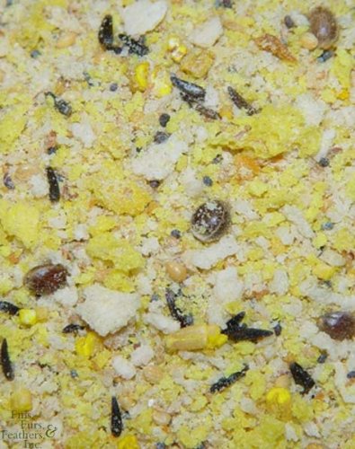 Higgins Group Higgins Avian Proteen Eggfood 20 lb Treat, 1Count, One Size
