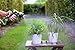 Garden Hose 50ft- Upgraded Expanding Water Hose Expandable Garden Hose with 9 Spray Pattern Nozzle, Triple Latex Core, 3/4 Solid Brass Fittings- Flexible Hose with Portable Bags & Hanger-No-Kink