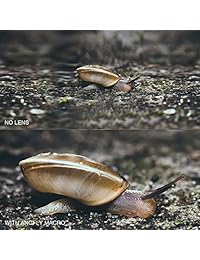 ANGFLY Lente de cámara de teléfono móvil Pro   lente gran angular y lente super macro, lente de cámara de teléfono móvil con clip, compatible con iPhone, Android, Samsung teléfonos móviles y tabletas