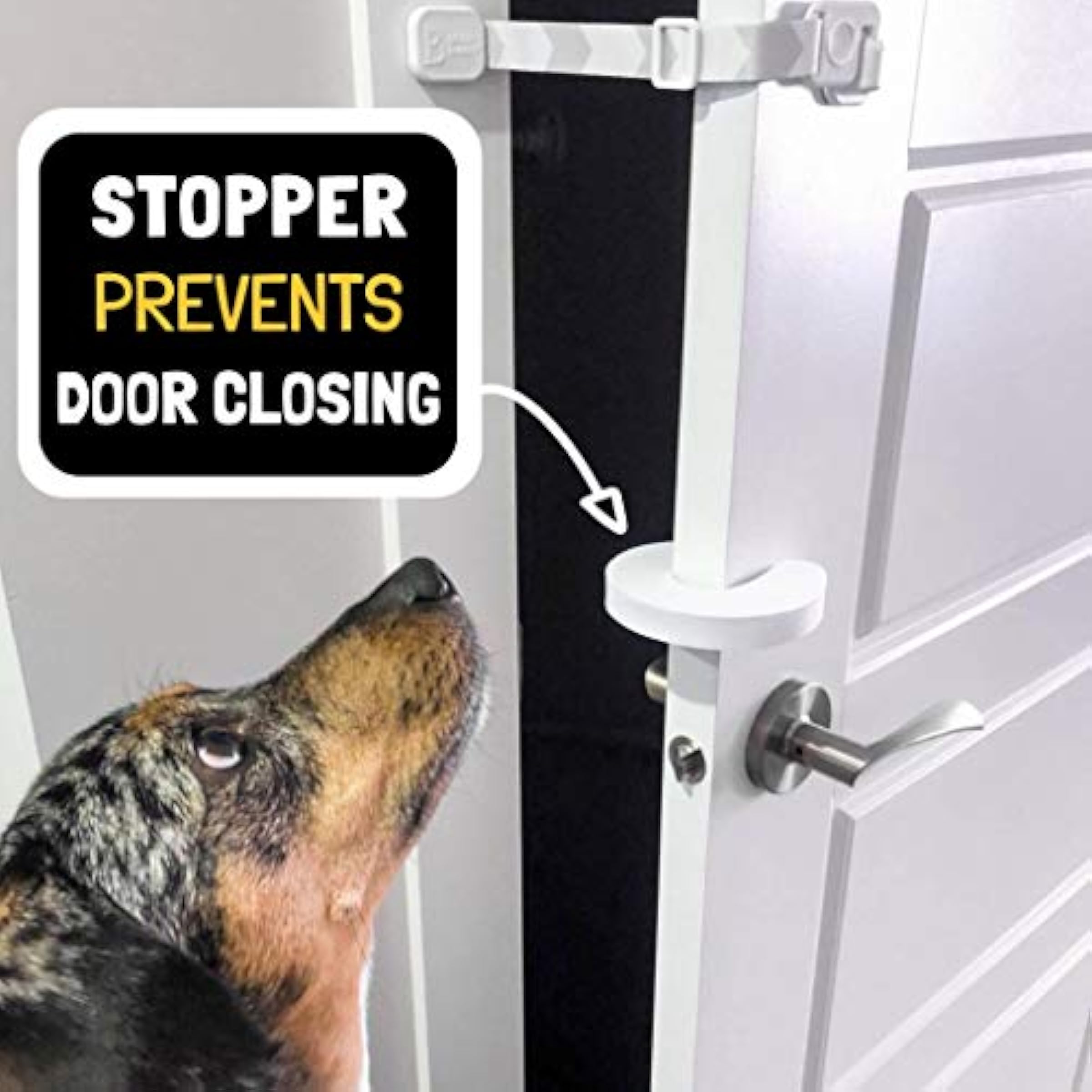 Door Buddy Door Latch Plus Door Stopper. Keep Dog Out of Litter Box and Prevent