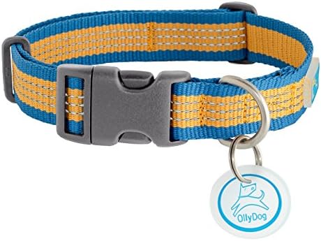 OllyDog MTN Reflective Collar, Medium, Blue Amber
