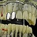 Double Cap Grillz Silver Tone Plain Canine Bling Two Tooth Hip Hop Teeth Grills