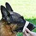 BRONZEDOG Wire Dog Muzzle German Shepherd for Medium Large Dogs Adjustable Durable Metal Basket for Biting Chewing Barking (M)