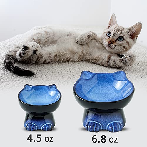 Nihow Slanted Elevated Cat Bowls 5 Inch Ceramic Raised Cat Food Bowl