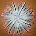 P & P Aquarium Fish Tank Silicone Sea Anemone Artificial Coral Ornament RT172L White