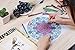 Reaeon 120 Coloring Gel Pen Set Including 60 Colored Gel Pens & 60 Ink Refills Perfect for Adults Coloring Books, Artist, School, Office, Writing, Drawing