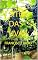 Livro SÍTIO DAS UVAS