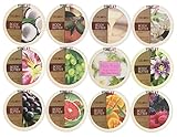 Pick Your Choice of Any 4 Packs of Delon Intense Moisturizing Body Butter (Pack of 4)