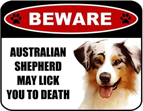 PCSCP Beware Australian Shepherd May Lick You To Death (v1) 9 inch x 11.5 inch Laminated Dog Sign