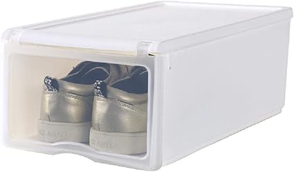 QWY 6 Caja de Almacenamiento de Zapatos Equipada Caja de ...